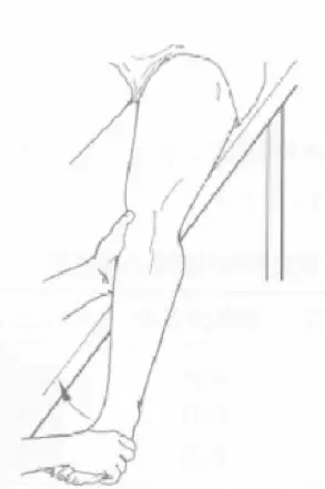 Knee Joint-17 Коленный сустав-17