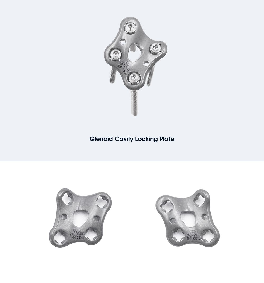 Пластина, фиксирующая лопатку (5) 