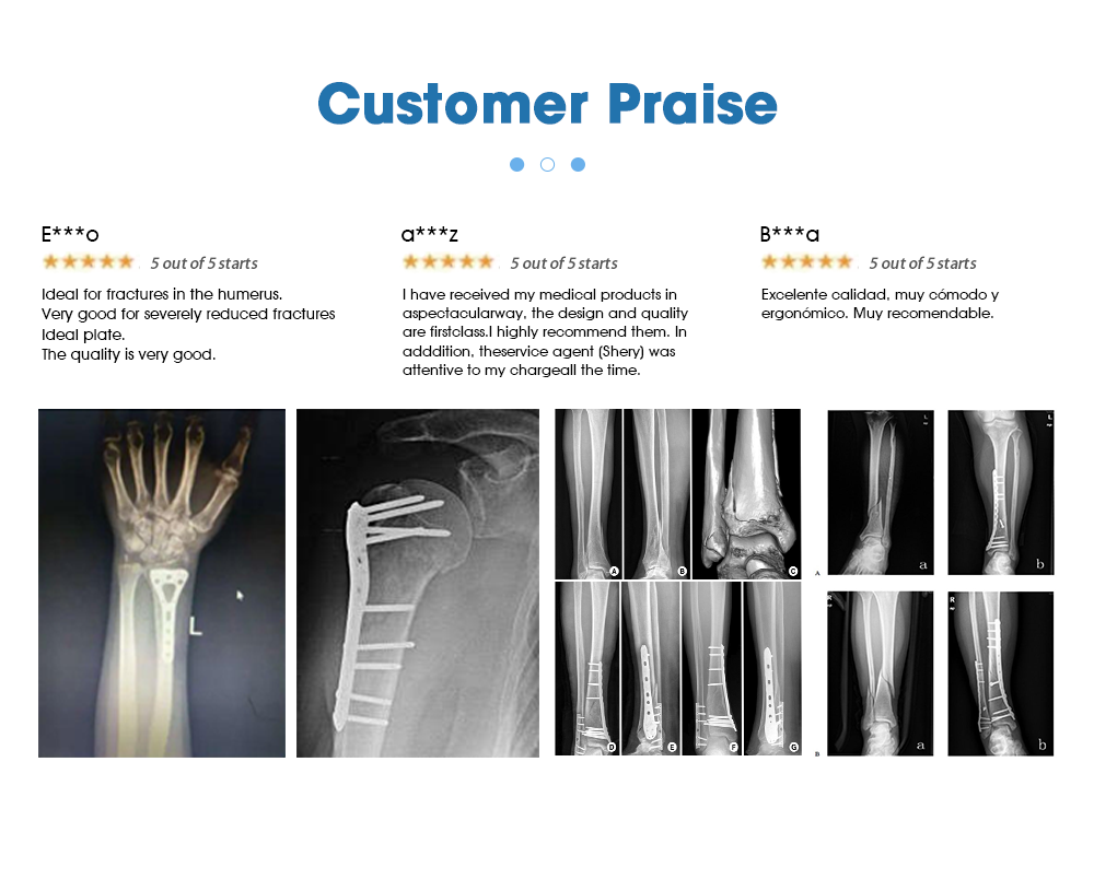 Пластина, фиксирующая лопатку (8)