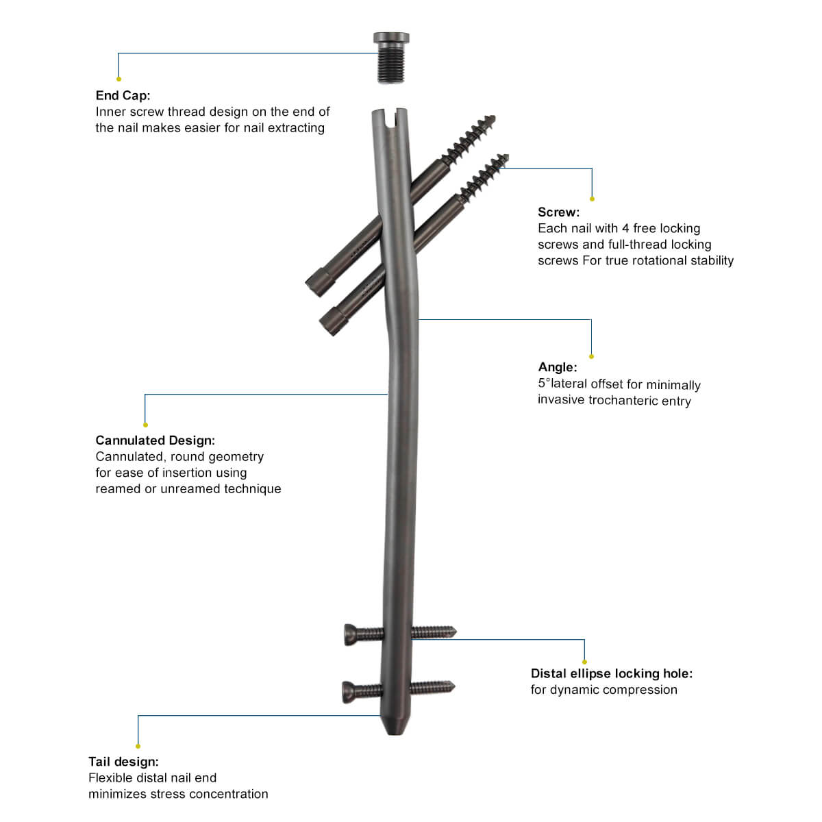 Гамма-интрамедуллярный стержень-1