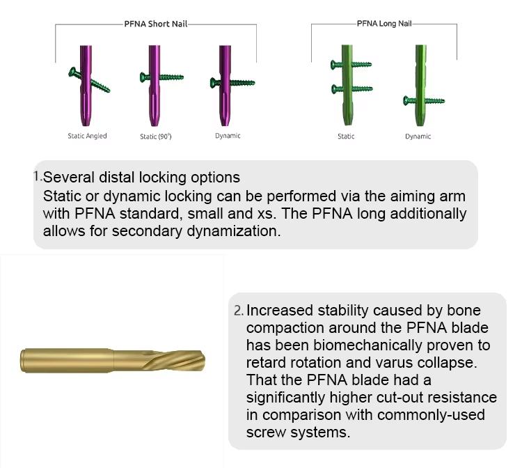 Описание интрамедуллярного гвоздя PFNA-1