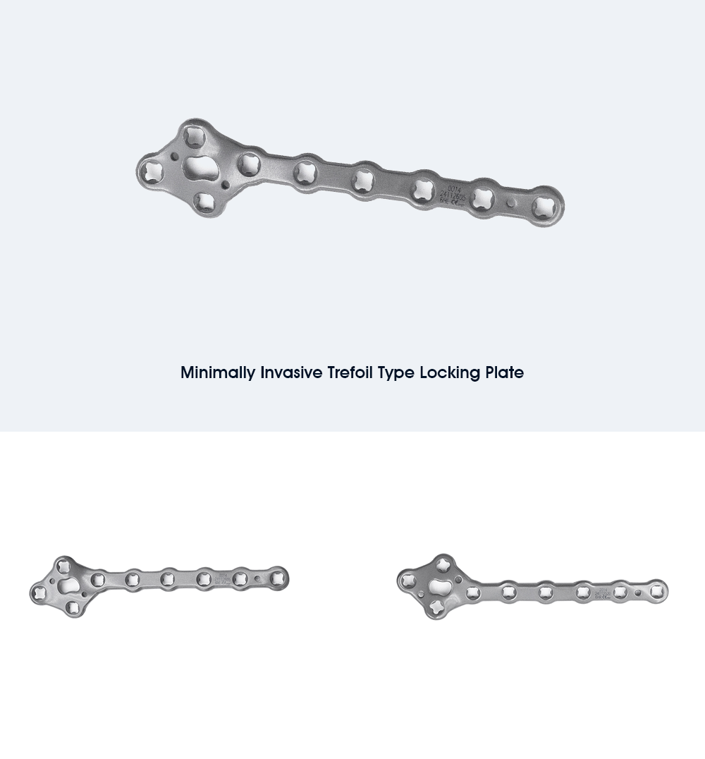 Пластина, фиксирующая лопатку (6) 