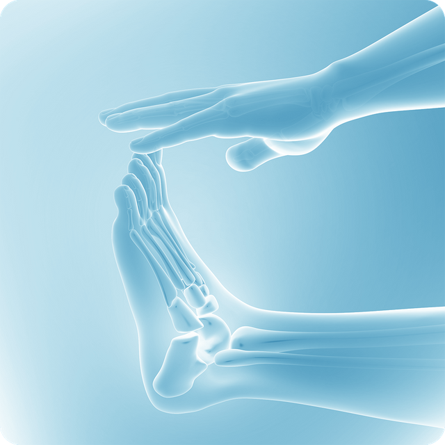 Ступня и лодыжка