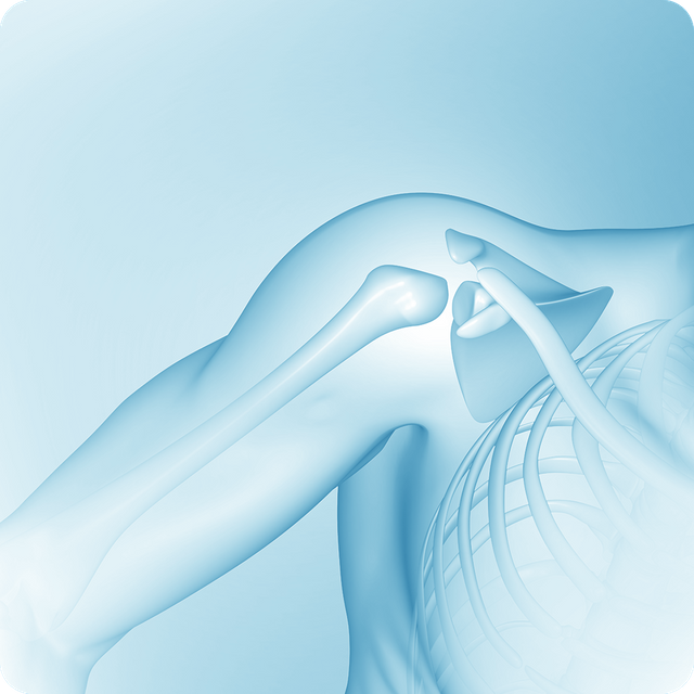 Плечевой сустав