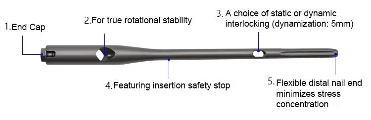 Описание интрамедуллярного гвоздя PFNA