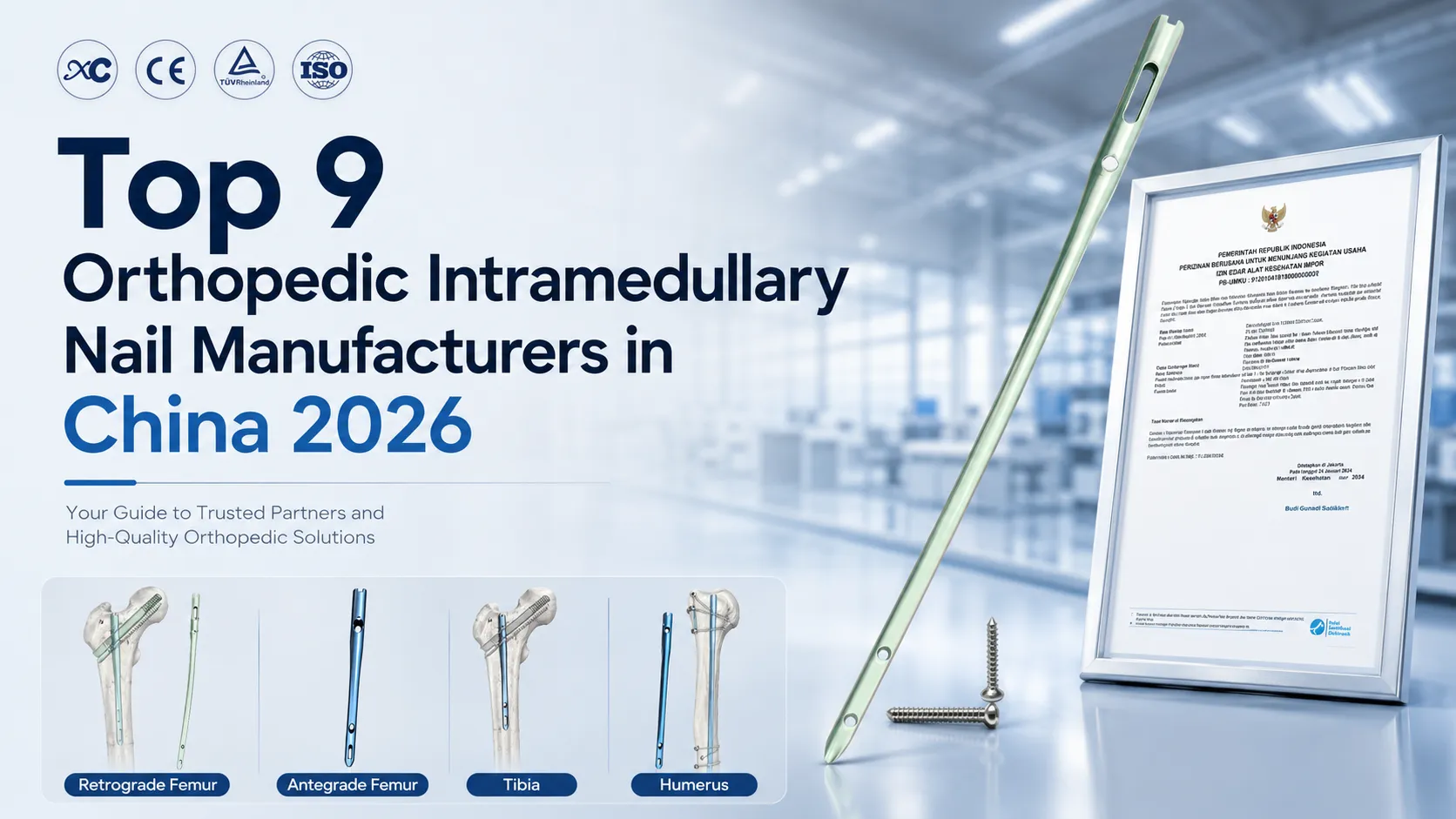 Top 9 Orthopedic Intramedullary Nail Manufacturers in China 2026 9 ведущих производителей ортопедических интрамедуллярных гвоздей в Китае в 2026 г.